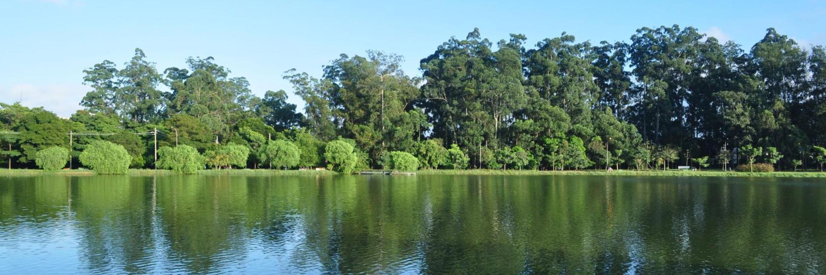 Rhodes Park
